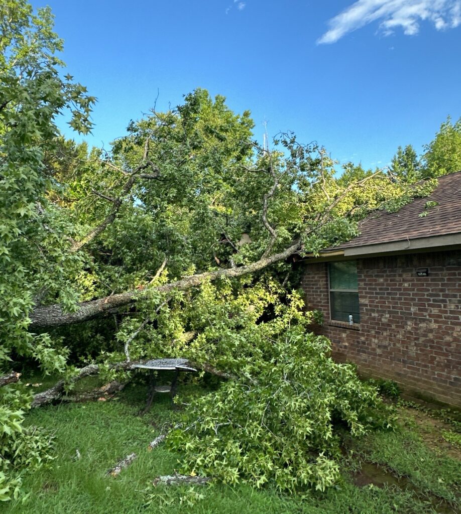 storm damage roof in tyler